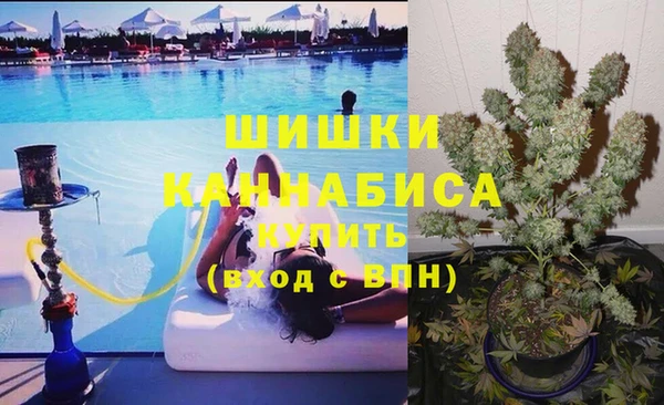 стаф Балахна