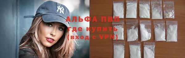 стаф Балахна
