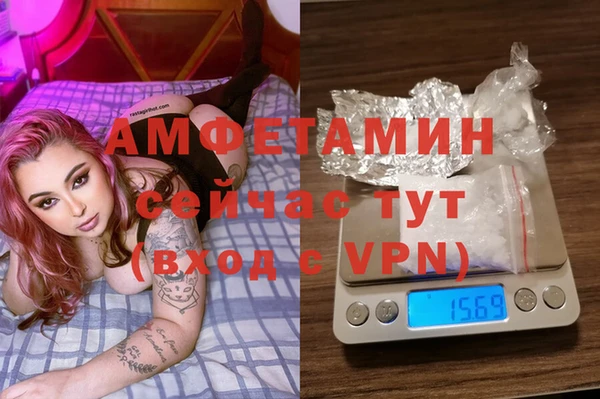 эйфоретик Аркадак