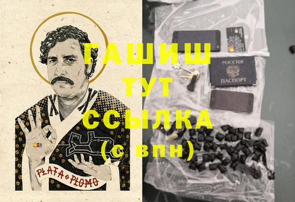 шишки Армянск