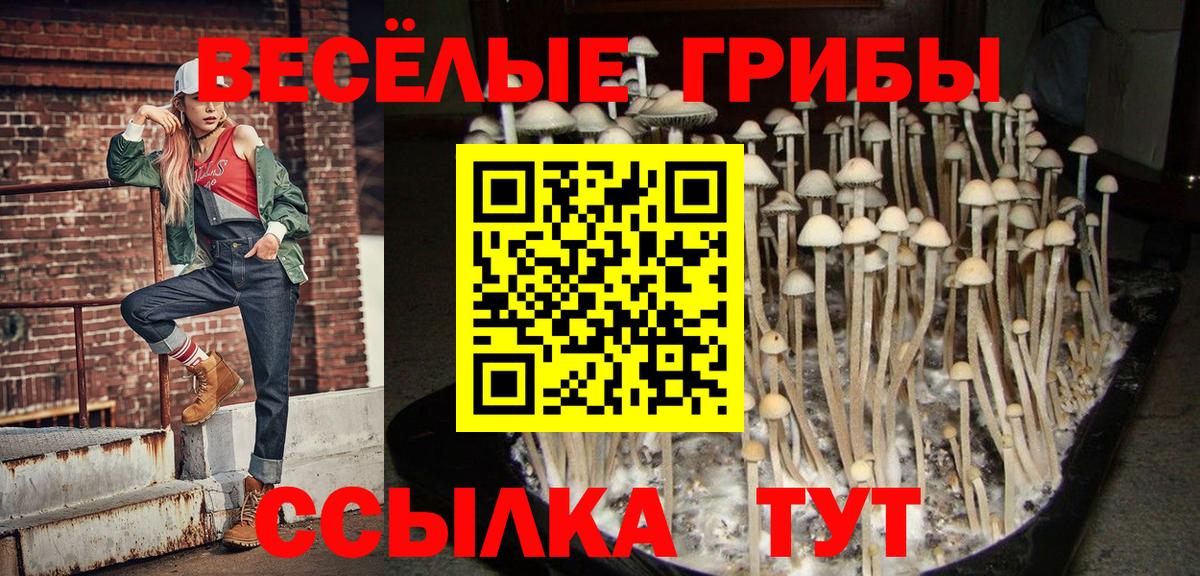 Галлюциногенные грибы мухоморы Реутов