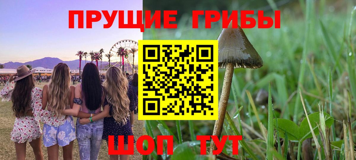 Псилоцибиновые грибы Psilocybe  купить наркотик  Реутов  Вход с VPN  Галлюциногенные грибы мухоморы 